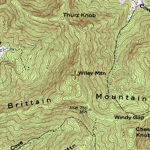 Topographic Map of Wiley Mountain, NC