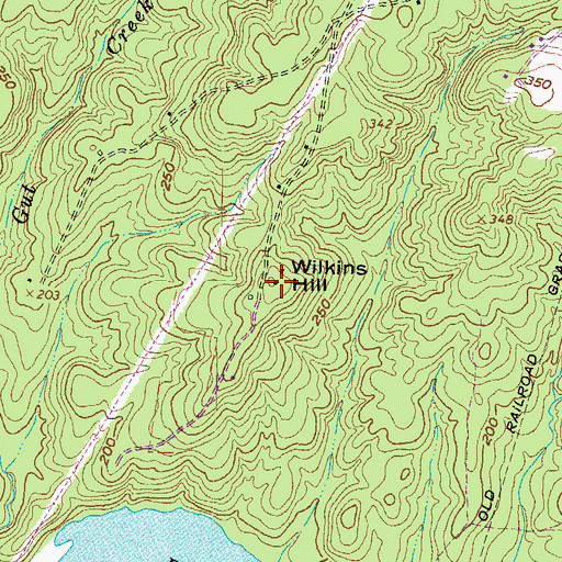 Topographic Map of Wilkins Hill, NC