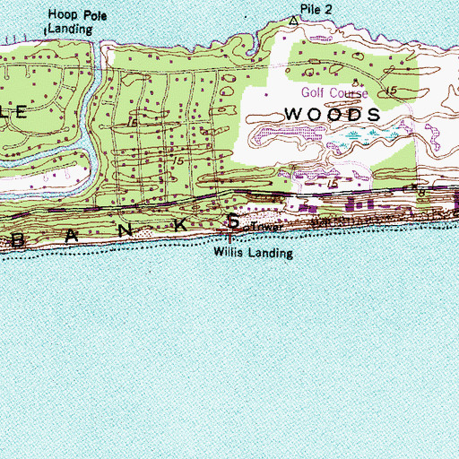 Topographic Map of Willis Landing, NC