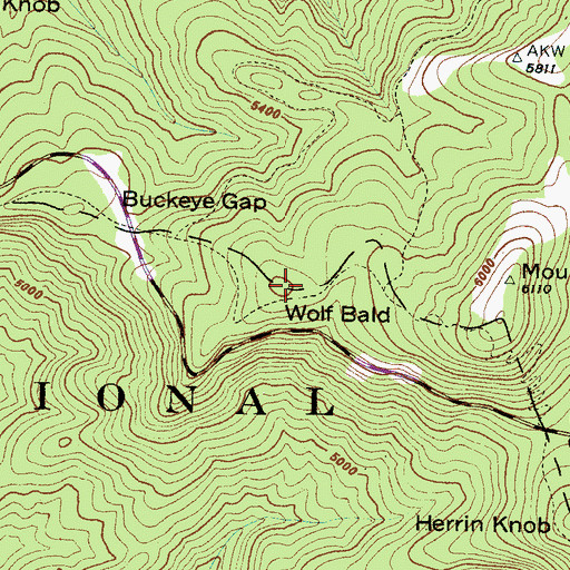 Topographic Map of Wolf Bald, NC