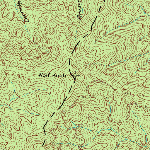 Topographic Map of Wolf Knob, NC