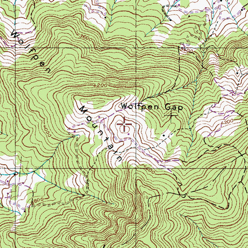 Topographic Map of Wolfpen Mountain, NC