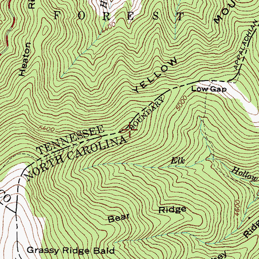 Topographic Map of Yellow Mountain, NC