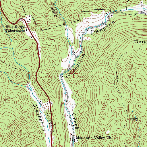 Topographic Map of McGrady, NC