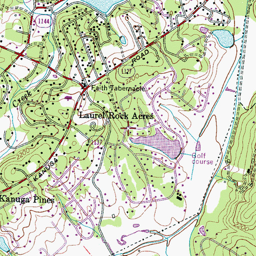 Topographic Map of Teneriffe, NC