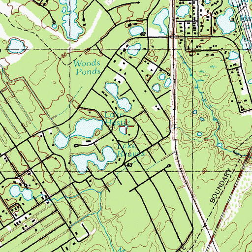 Topographic Map of Blue Gill Pond, NC