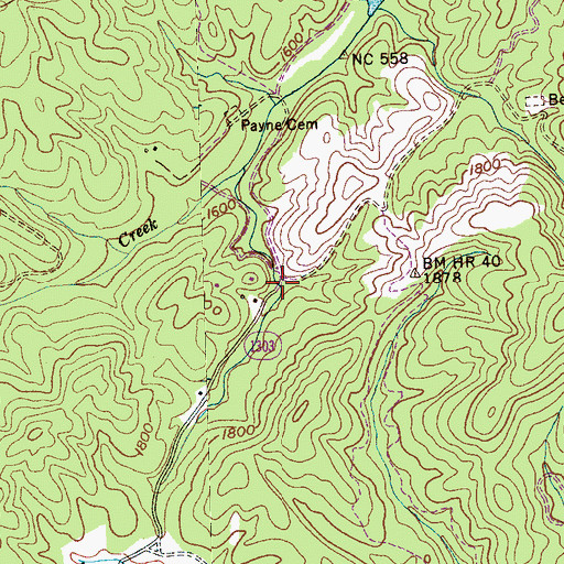 Topographic Map of Birch, NC