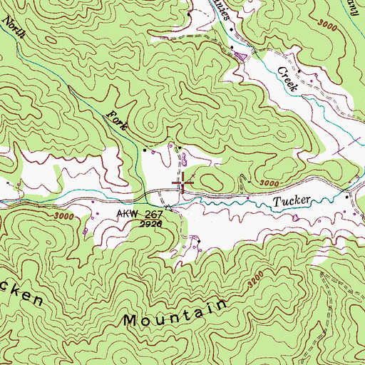 Topographic Map of Woods Memorial Church, NC