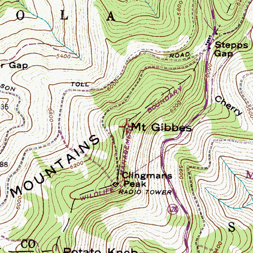 Topographic Map of Mount Gibbes, NC