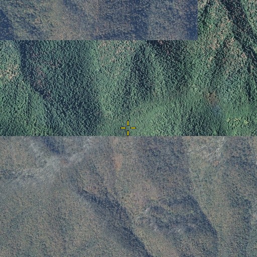 Aerial/Satellite Image of Mount Squires, TN