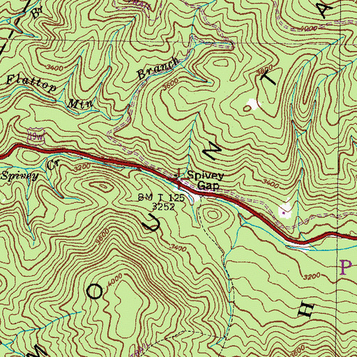 Topographic Map of Spivey Gap Picnic Area, NC