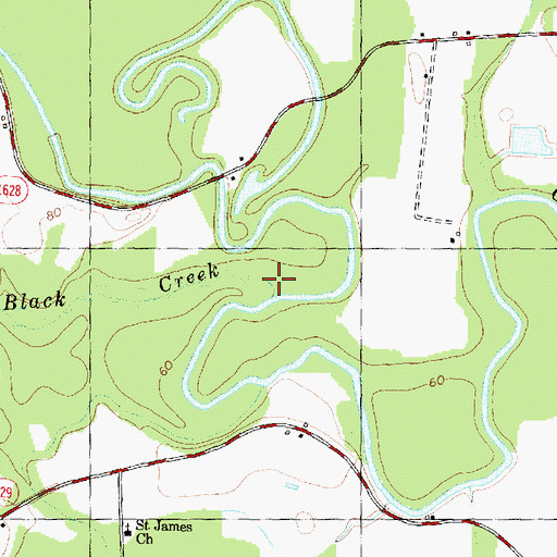 Topographic Map of Black Creek, NC