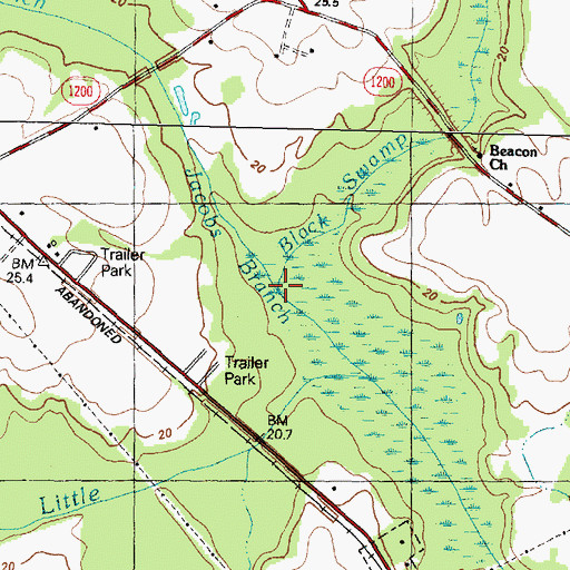 Topographic Map of Black Swamp, NC