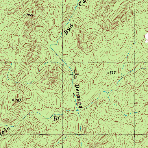 Topographic Map of Bud Cagle Branch, NC