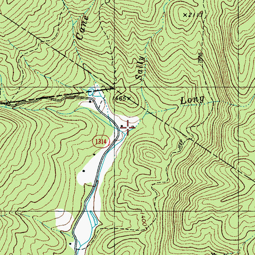Topographic Map of Cane Branch, NC