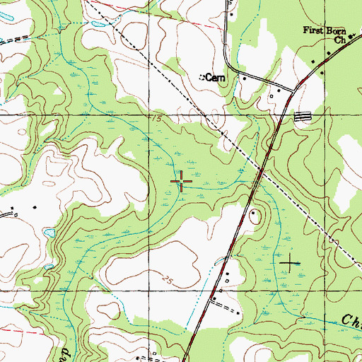 Topographic Map of Cow Swamp, NC