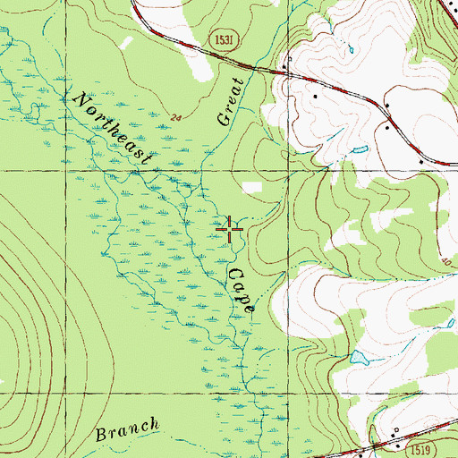Topographic Map of Great Branch, NC