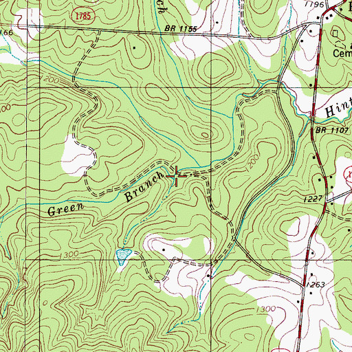 Topographic Map of Green Branch, NC
