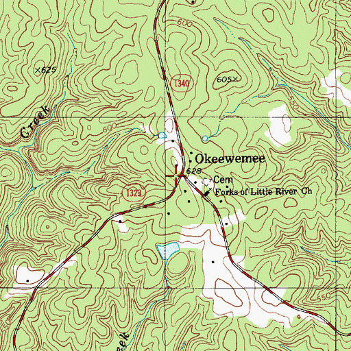 Topographic Map of Okeewemee, NC