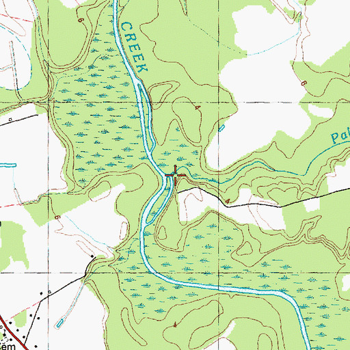 Topographic Map of Palmetto Swamp, NC