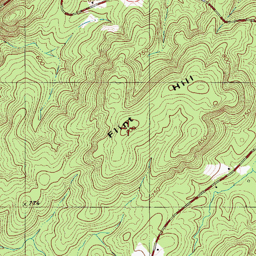 Topographic Map of Flint Hill, NC