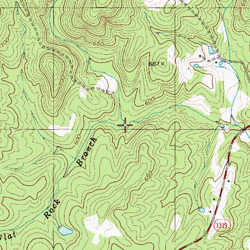 Topographic Map of Flat Rock Branch, NC