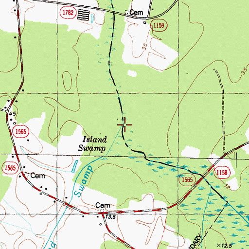 Topographic Map of Island Swamp, NC