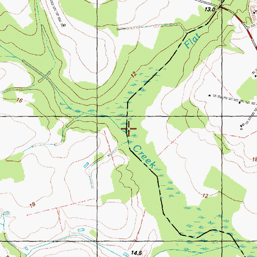 Topographic Map of Flat Swamp, NC