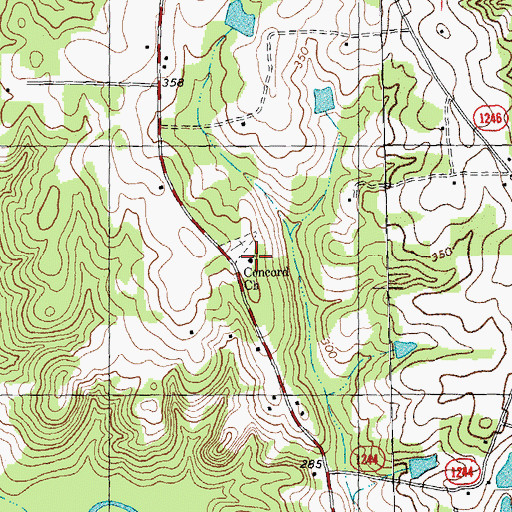Topographic Map of Concord Church, NC