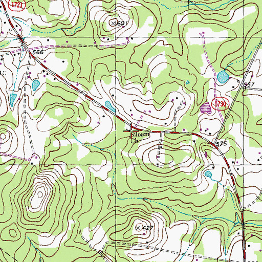Topographic Map of Siloam Church, NC
