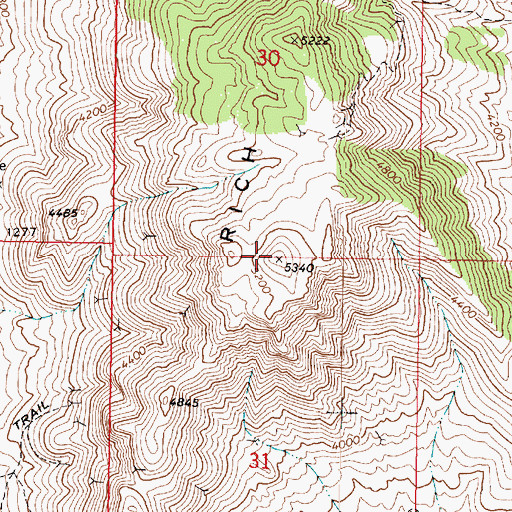 Topographic Map of Rich Hill, AZ