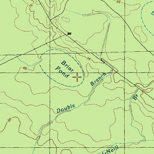 Topographic Map of Briar Pond, NC