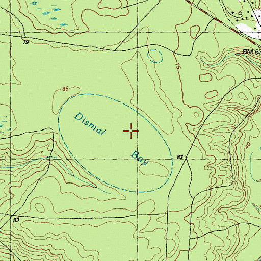 Topographic Map of Dismal Bay, NC