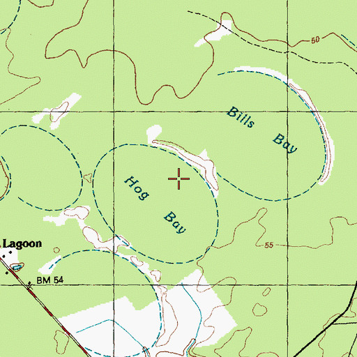 Topographic Map of Hog Bay, NC