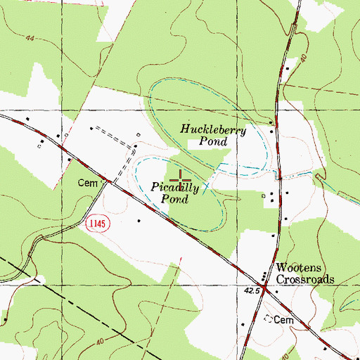 Topographic Map of Picadilly Pond, NC