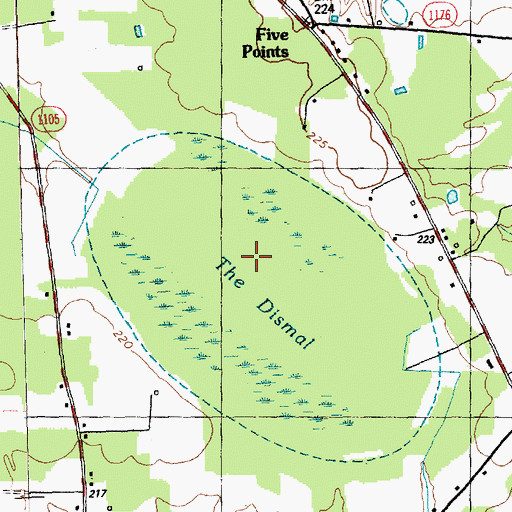Topographic Map of The Dismal, NC