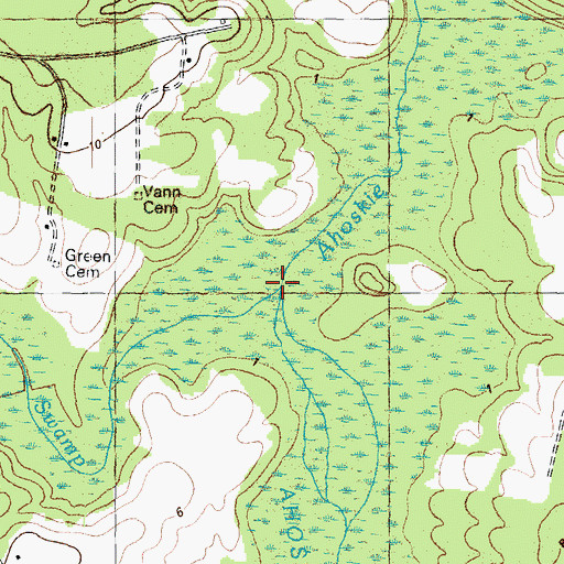 Topographic Map of Bear Swamp, NC