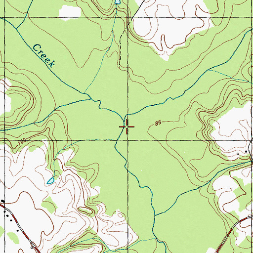 Topographic Map of Bearskin Swamp, NC