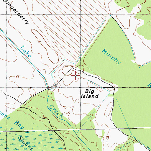 Topographic Map of Big Island, NC