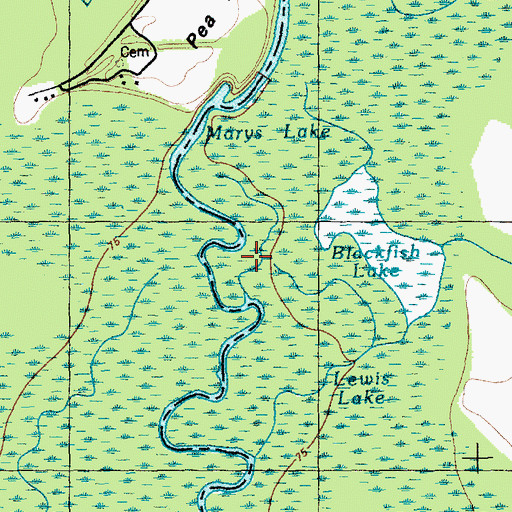 Topographic Map of Blackfish Lake (historical), NC