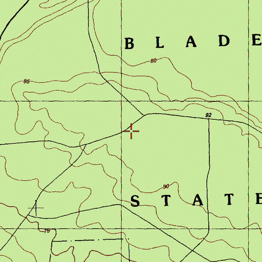 Topographic Map of Bladen Lakes State Forest, NC
