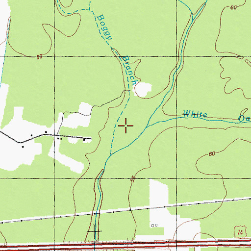 Topographic Map of Boggy Branch, NC