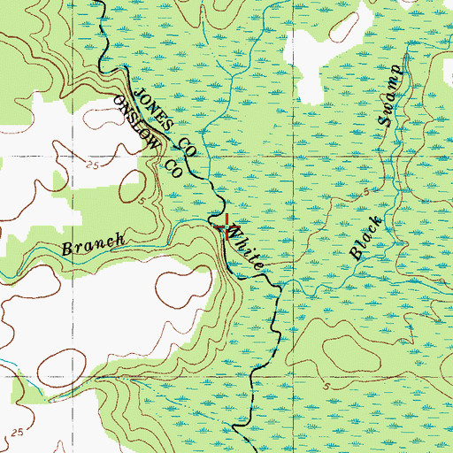 Topographic Map of Brick Kiln Branch, NC