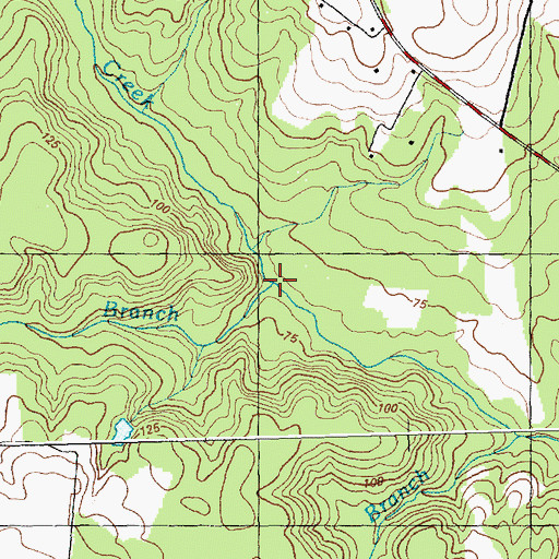 Topographic Map of Bridge Branch, NC
