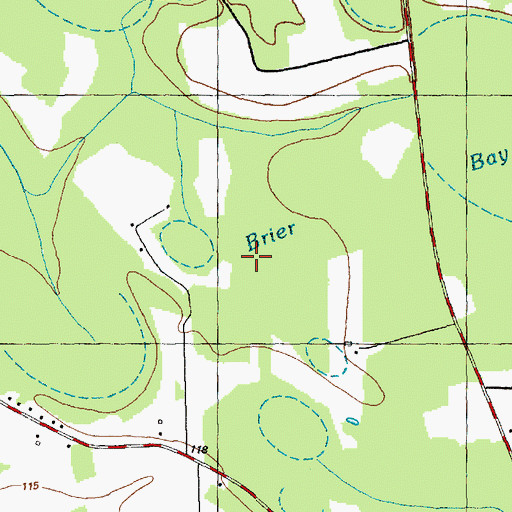 Topographic Map of Brier Bay, NC