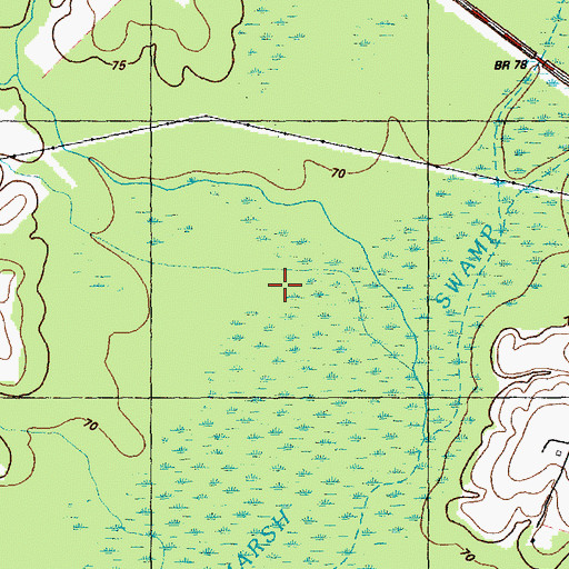 Topographic Map of Brown Marsh Swamp, NC