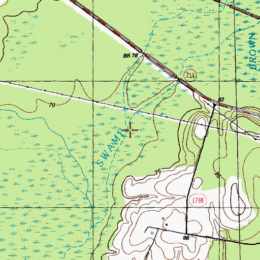 Topographic Map of Brown Marsh Swamp, NC