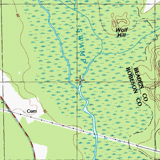 Topographic Map of Bryant Swamp, NC