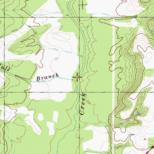 Topographic Map of Bull Branch, NC