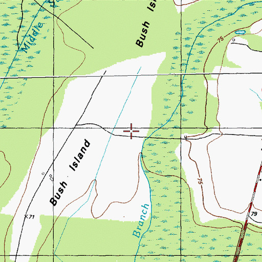 Topographic Map of Bush Island, NC
